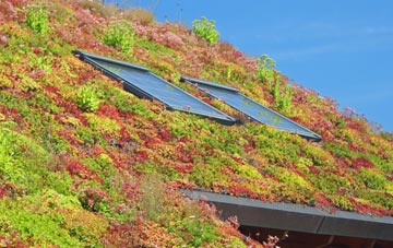 Lauder Barns living roof systems